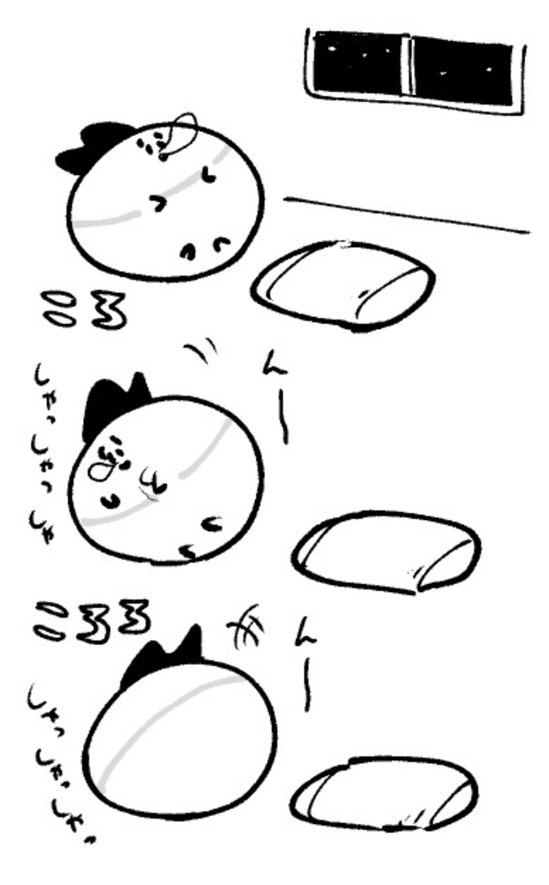 2026年5月30日 まちゅがき