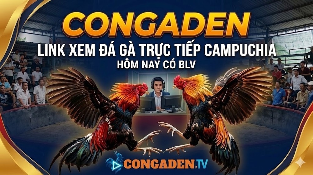 CONGADEN Đá Gà Trực Tiếp