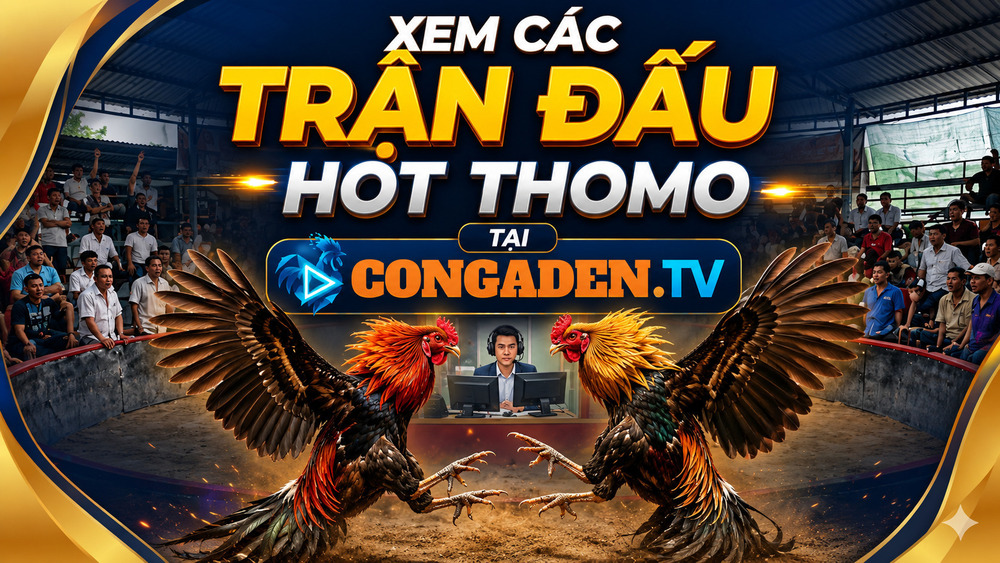 Video Hot Thomo Trên CONGADEN