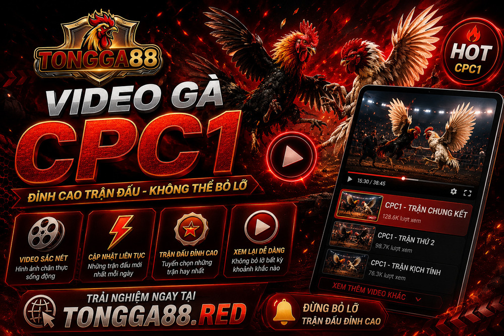 Video Gà CPC1 Trên TỔNG GÀ 88