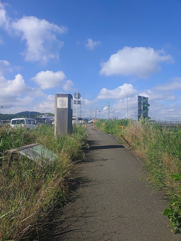 ひゃっほいジョグ記 20260610