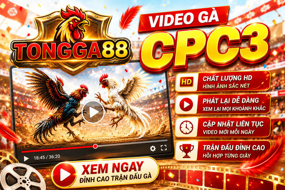VIDEO GÀ CPC3 Trên TONGGA88