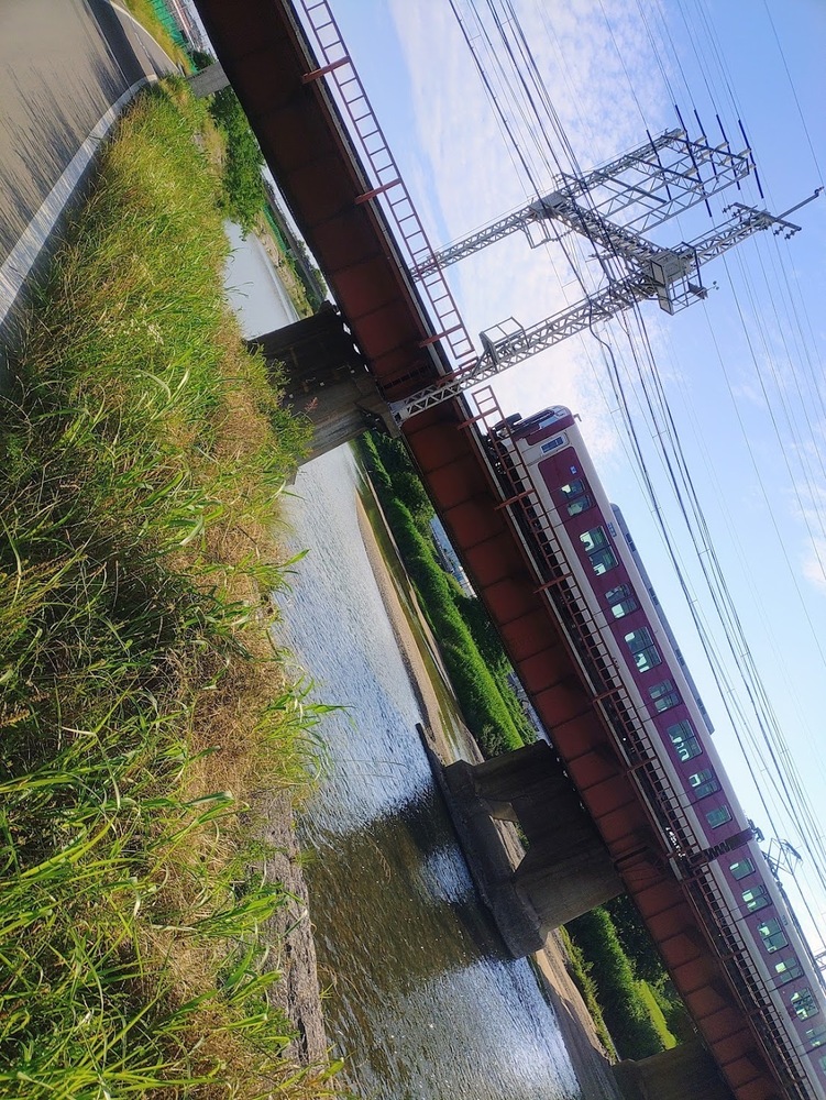 ひゃっほいジョグ記 20260611