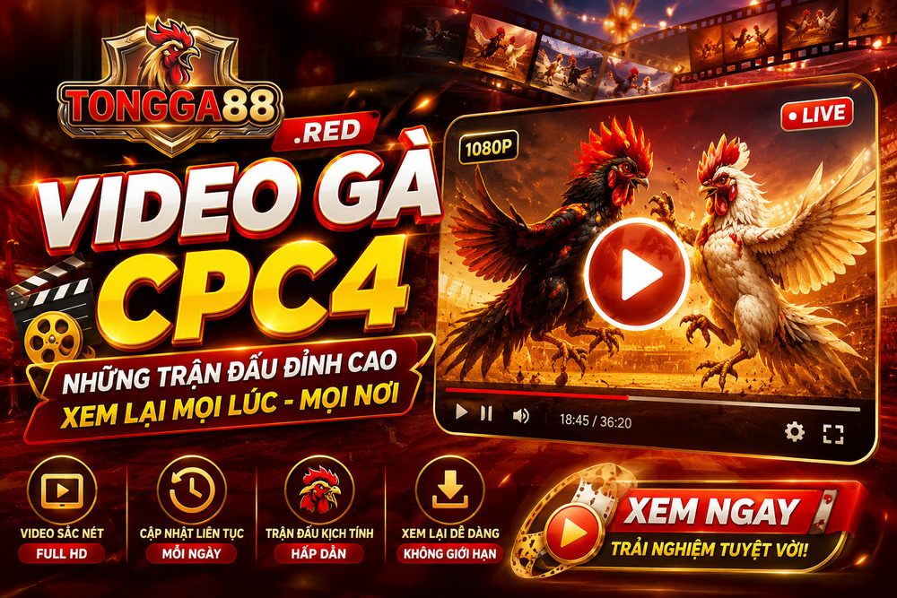 Video Gà CPC4 Trên TONGGA88
