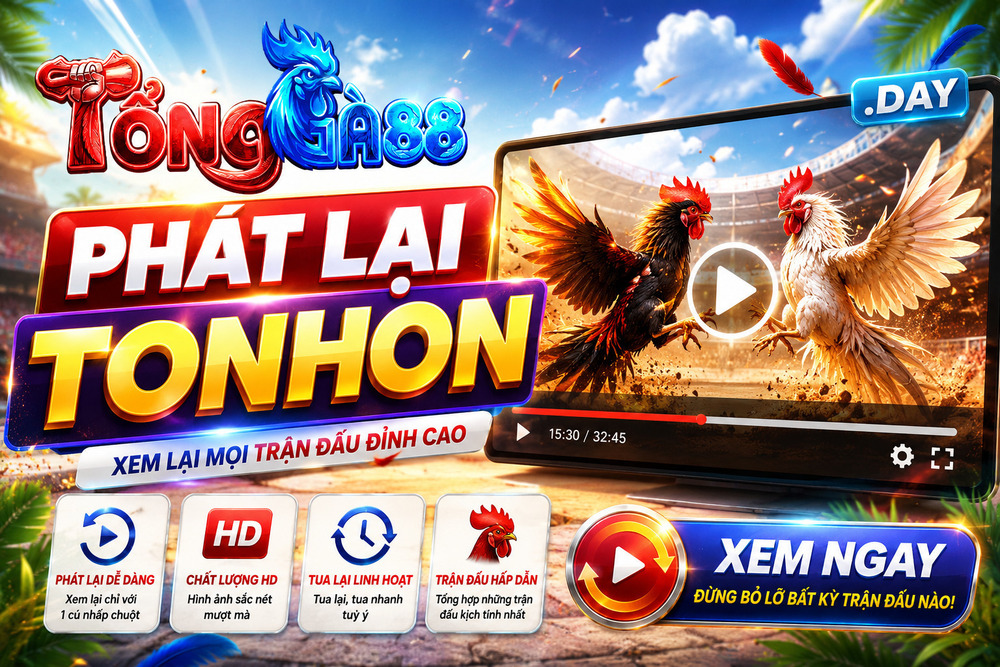 Phát Lại TONHON Trên TỔNG GÀ 88