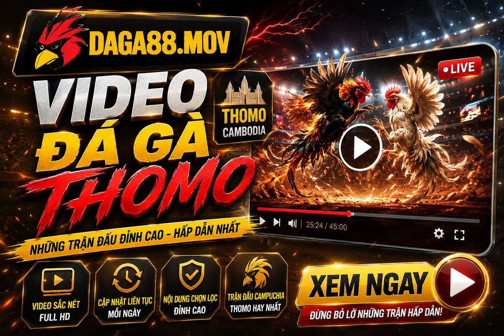 Video Đá Gà Thomo Trên DAGA88 