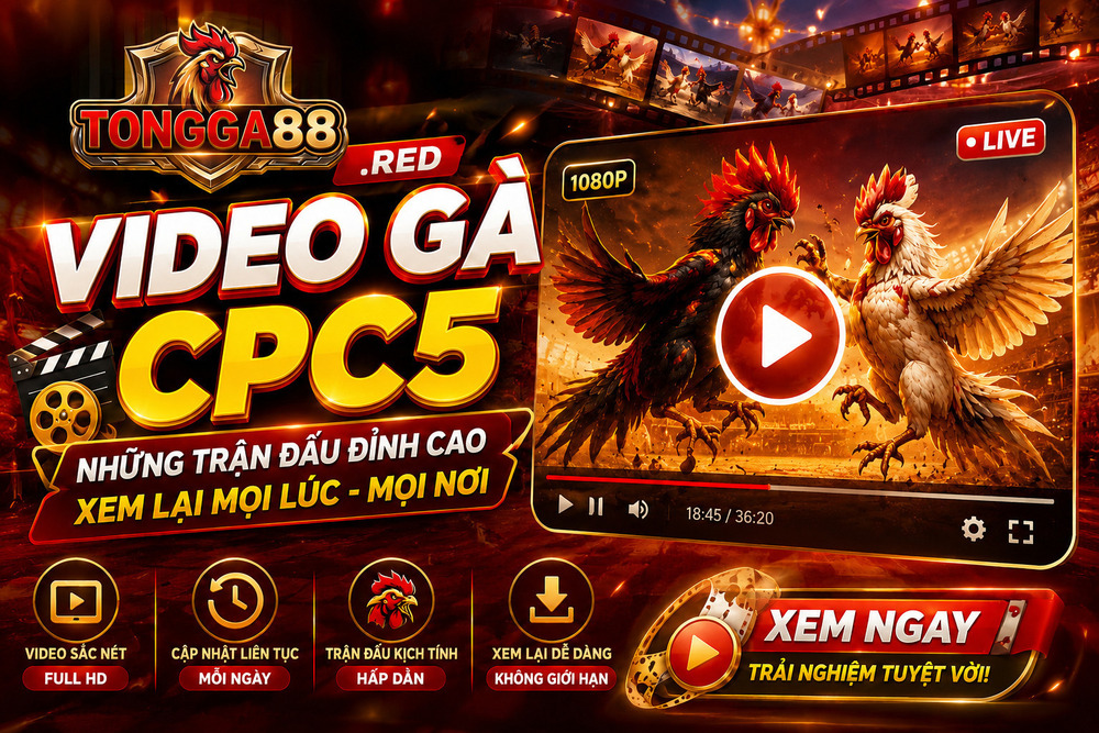 Video Gà CPC5 - Góc Xem Lại Những Trận Đá Gà Trực Tiếp Được Quan Tâm