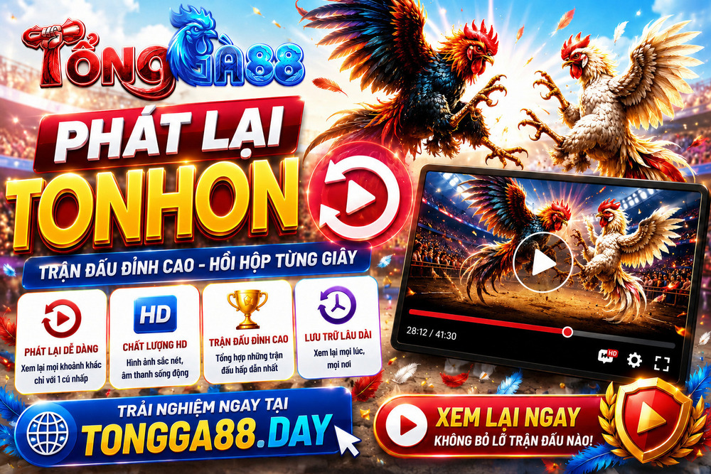 Phát Lại TONHON - Bộ Sưu Tập Video Nổi Bật Tại TỔNG GÀ 88