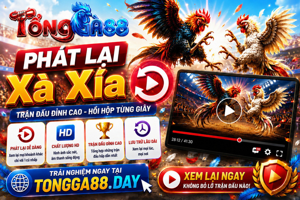 Phát Lại Xìa Xía - Xem Lại Những Video Nổi Bật Tại TỔNG GÀ 88