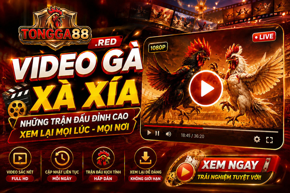 Video Gà Xà Xía - Những Trận Đá Gà Trực Tiếp Đáng Chú Ý