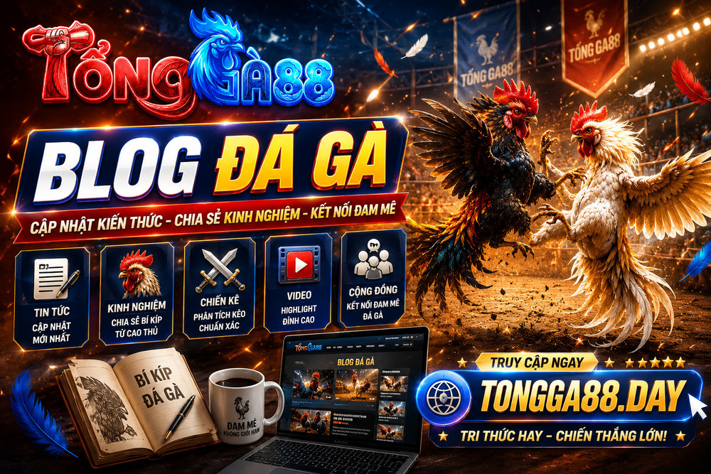 Blog Đá Gà - Cập Nhật Thông Tin Hấp Dẫn Từ Tổng Gà 88
