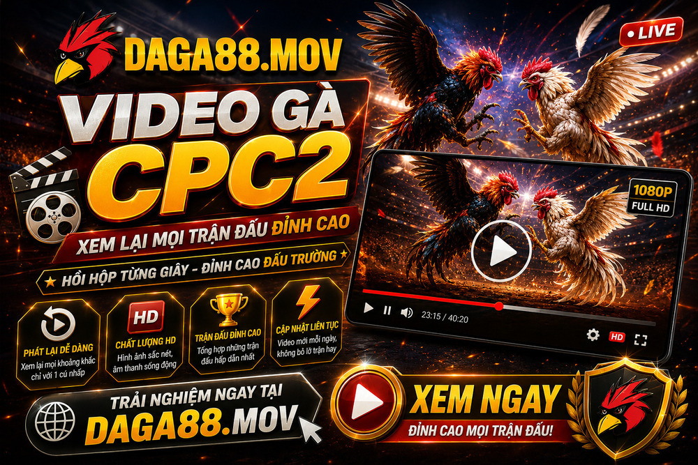 Video Gà CPC2 - Cập Nhật Các Trận Đá Gà Trực Tiếp Hấp Dẫn