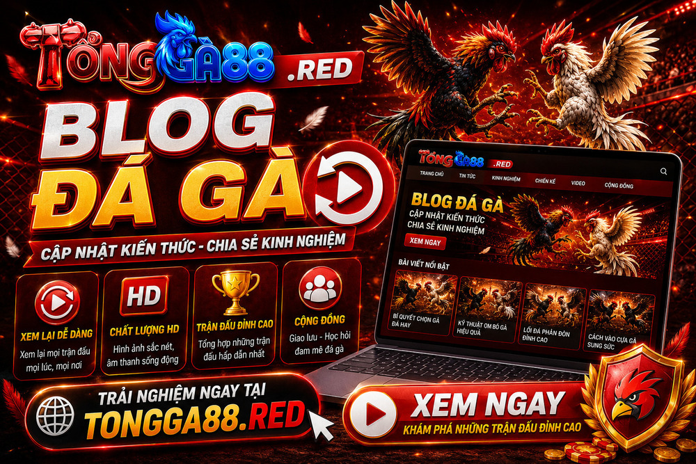Blog Đá Gà - Cập Nhật Thông Tin Đá Gà Trực Tiếp Mới Nhất Mỗi Ngày