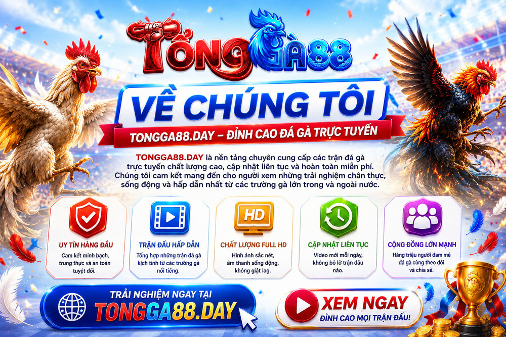 Về Chúng Tôi - Tổng Gà 88