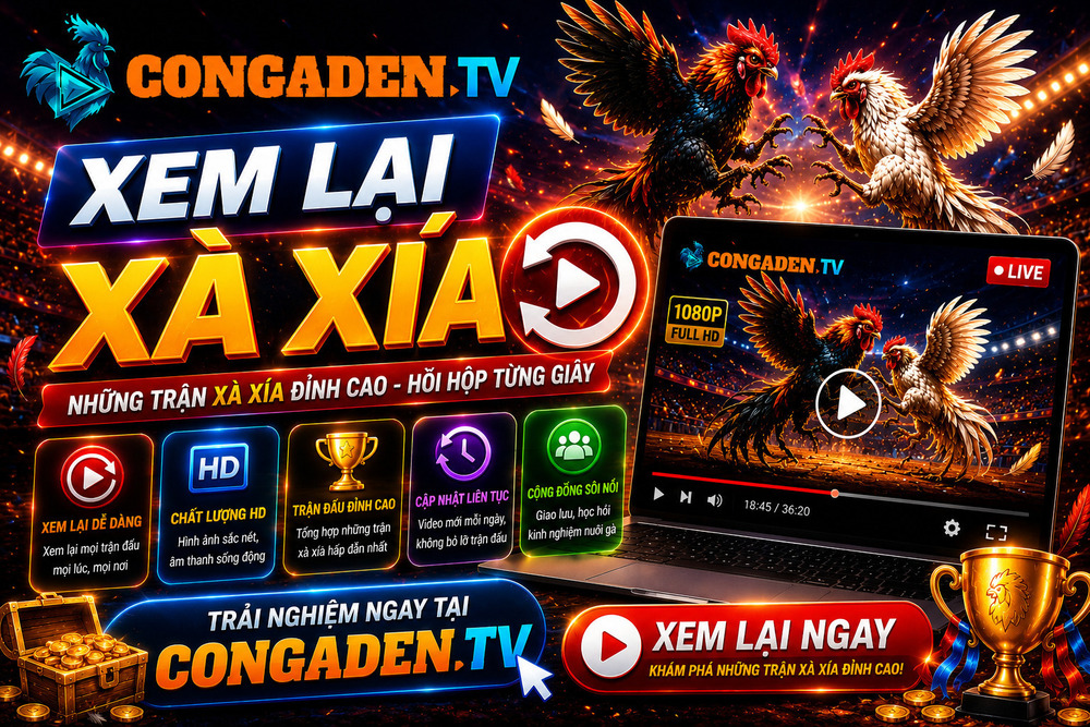 Xem Lại Xà Xía - Kho Video Phát Lại Hấp Dẫn Tại Con Gà Đen