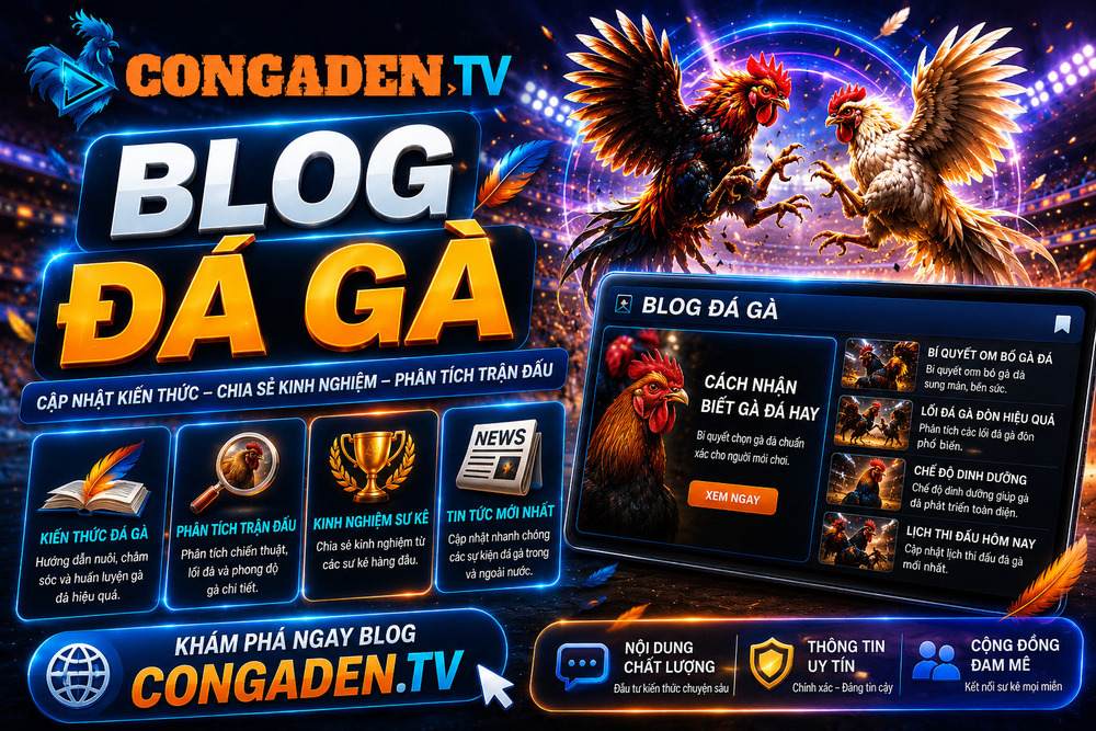 Blog Đá Gà - Con Gà Đen