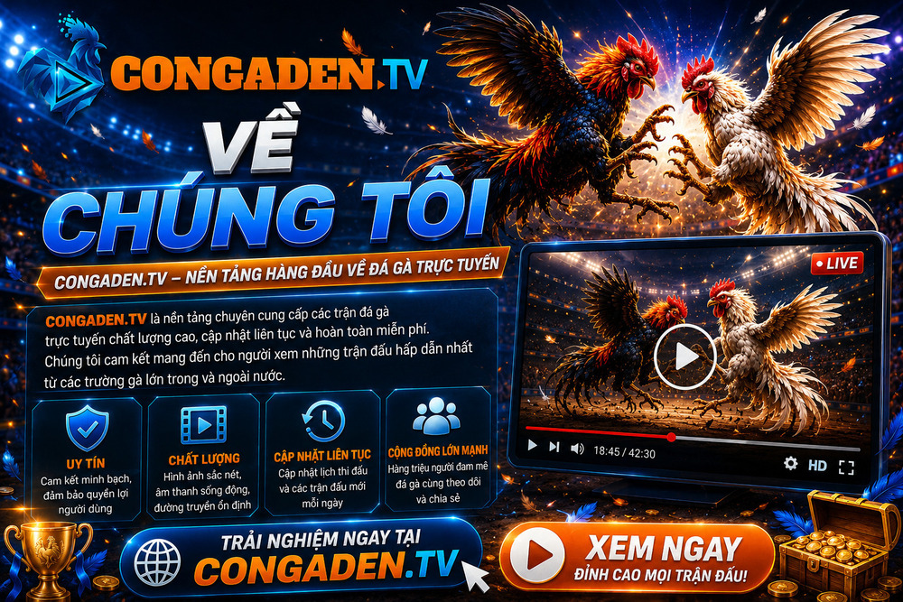 Về Chúng Tôi - Hành Trình Xây Dựng Con Gà Đen