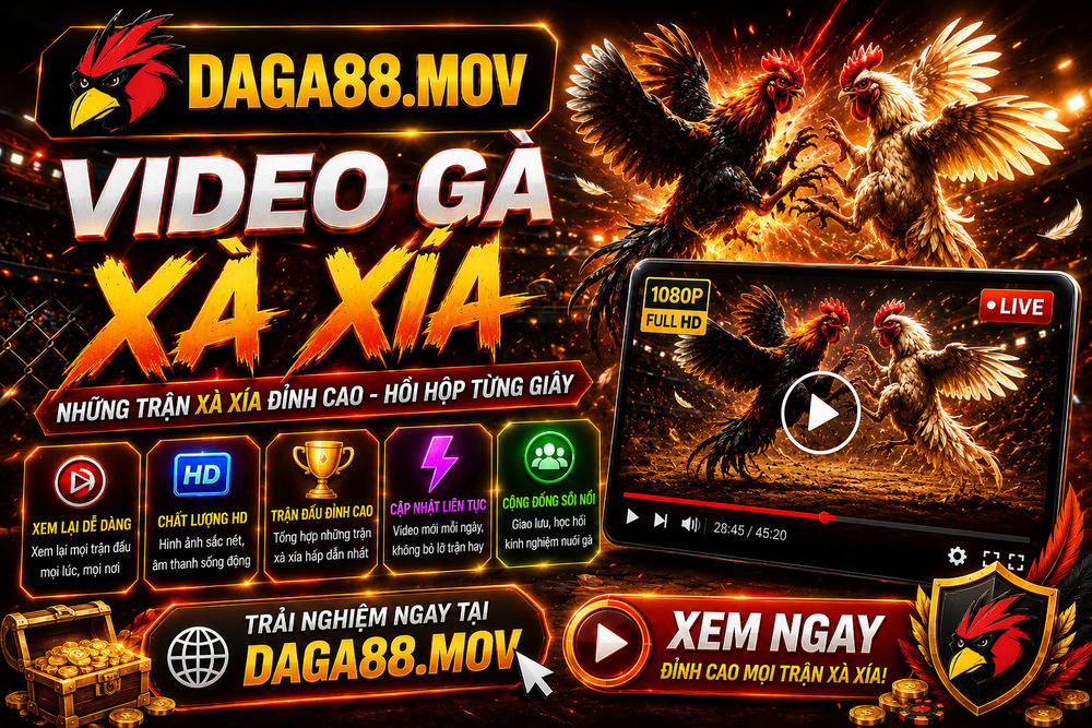 Video Gà Xà Xía - ĐÁ GÀ 88