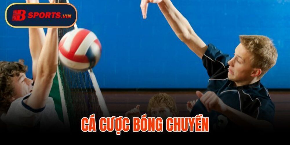 Volleyball Betting – An Easy Guide to Understanding Odds with Bsports