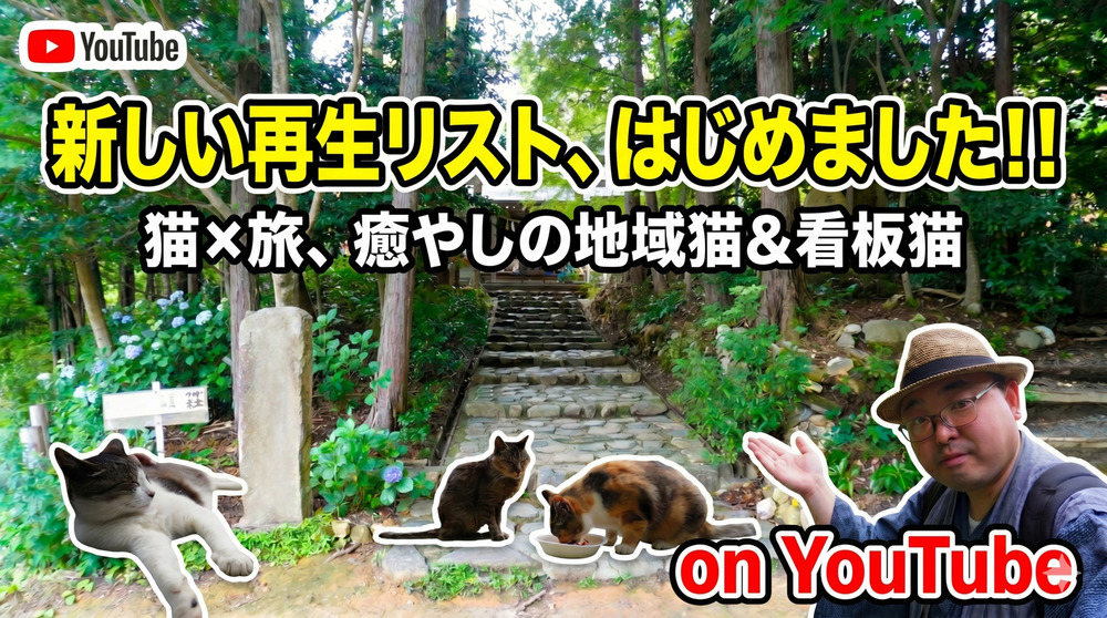 【猫×旅】全国のかわいい看板猫・地域猫たちとの出会いをまとめました🐾👘