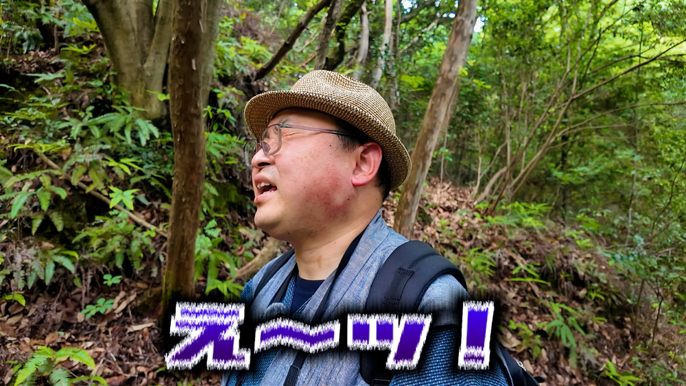 【撮影裏話】絶望の激坂！？猫神社へ2度挑んだ作務衣男の記録
