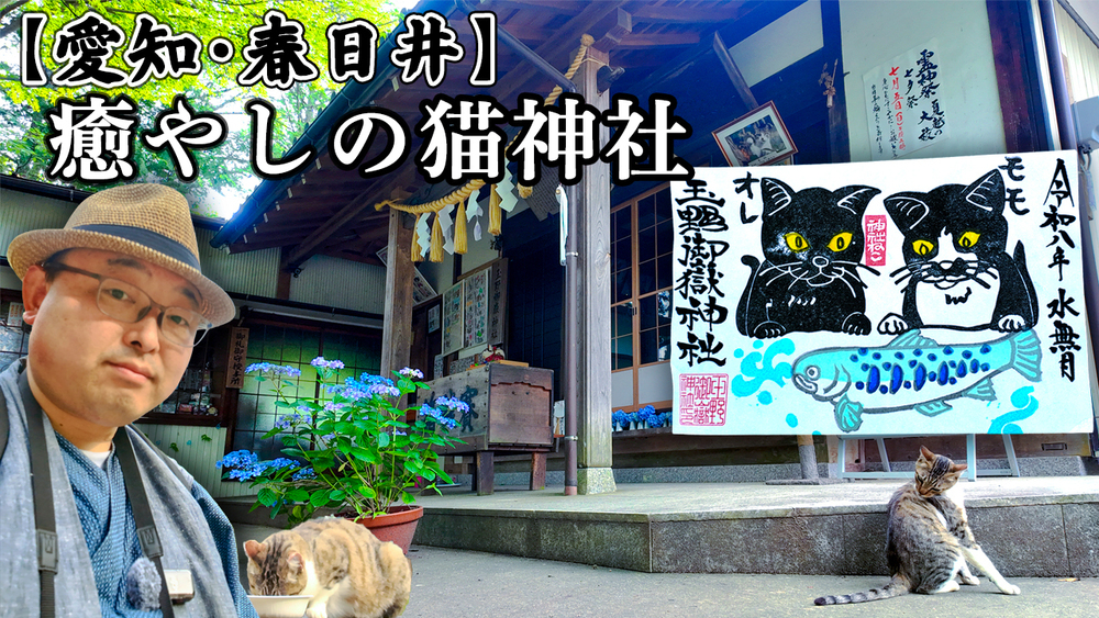 【本日20時プレミア公開】ショートや配信でお届けしてきた秘境「猫神社」、いよいよ本編公開🐈⛩️