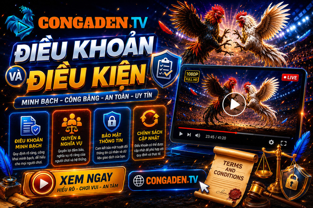 Điều Khoản Và Điều Kiện - Cơ Sở Cho Trải Nghiệm Minh Bạch Tại CON GÀ ĐEN