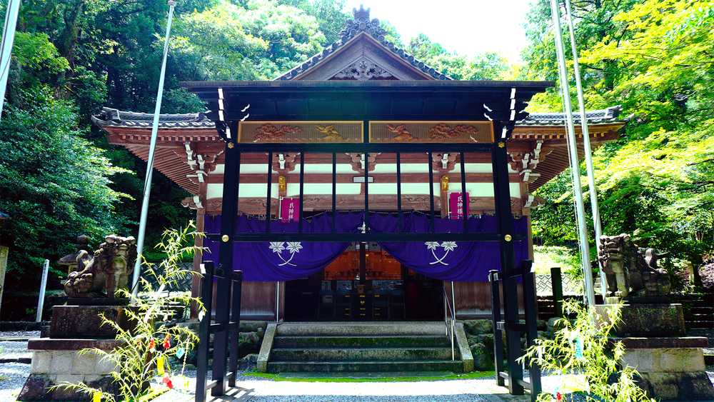 新緑の神社で深呼吸🌿みなさんのお気に入りスポットは？