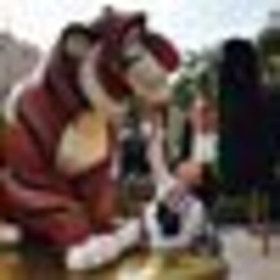 User Icon