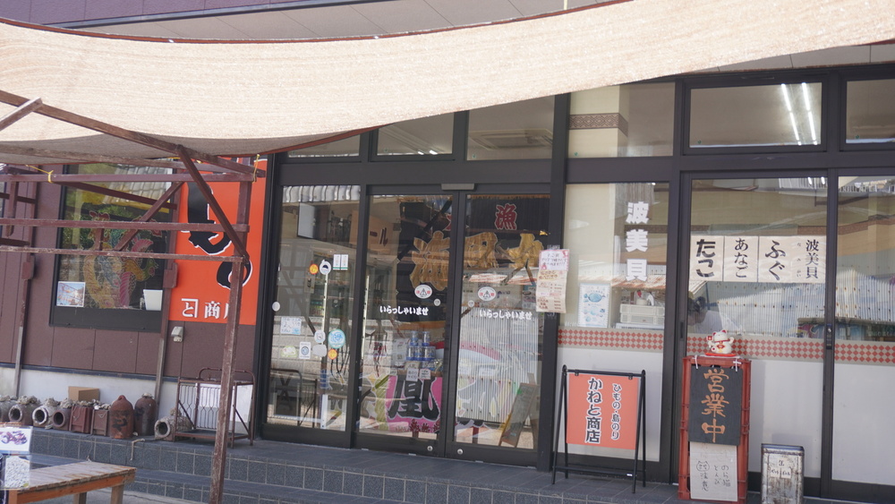 日間賀島ロケ第2弾！絶品タコと、炎天下のハプニング🐙🐈