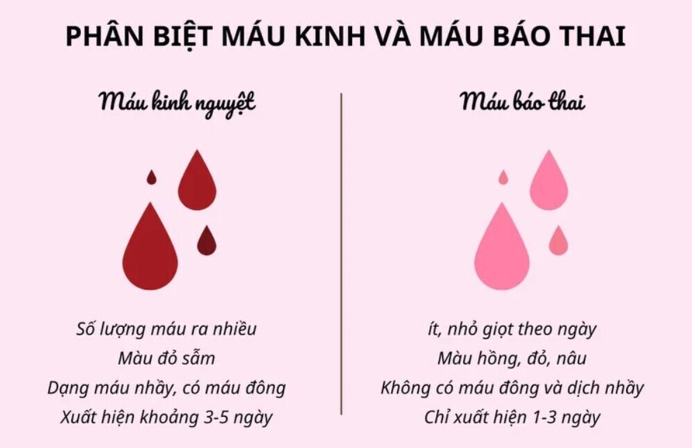 Máu kinh và máu báo thai khác nhau thế nào? Giải đáp chi tiết